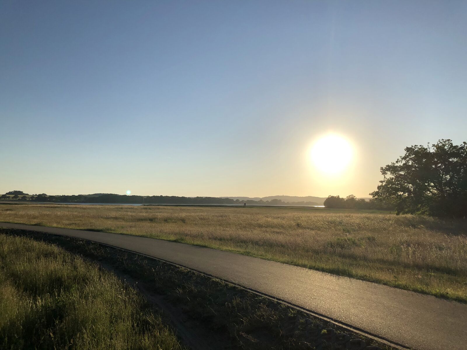 iPhone 8 Plus back dual camera 3.99mm f/1.8 sample photo. Field, landscape, meadow photography