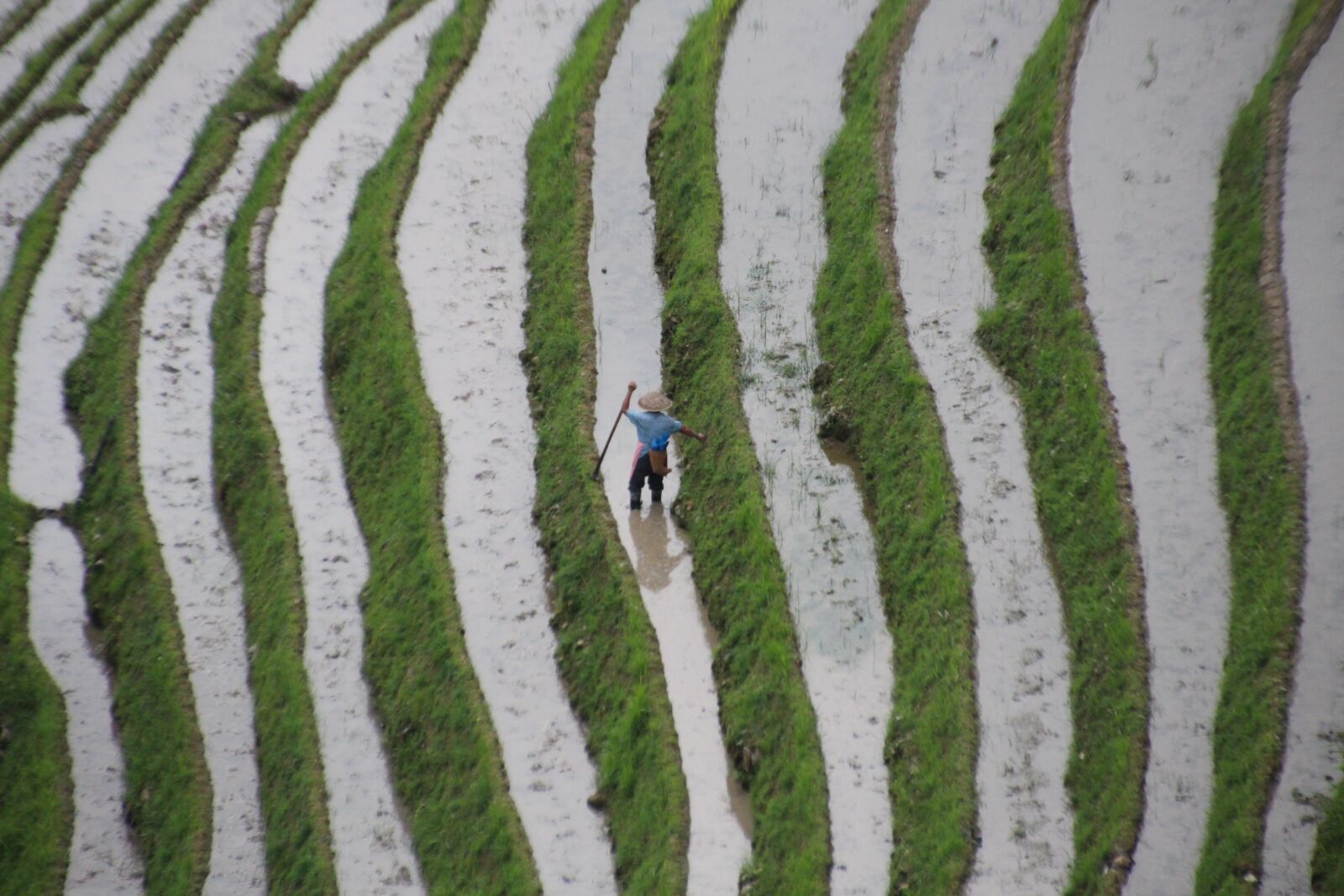 Canon EOS 700D (EOS Rebel T5i / EOS Kiss X7i) sample photo. Person, working, farmer photography