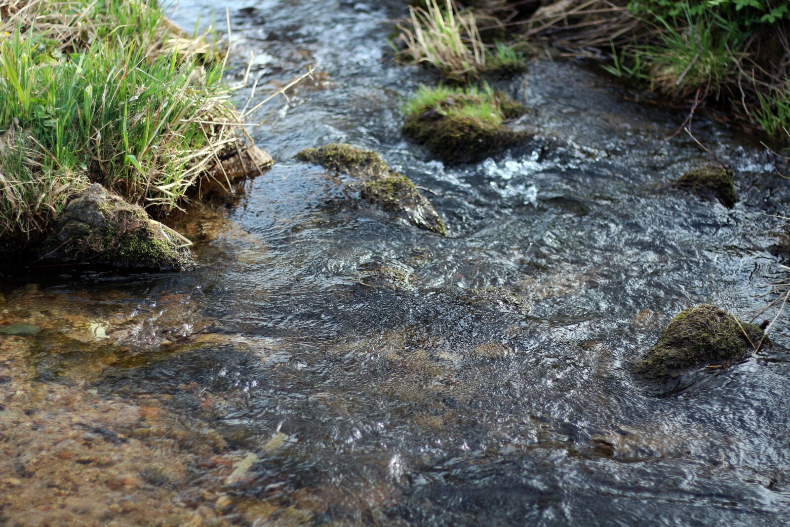 Canon EOS 650D (EOS Rebel T4i / EOS Kiss X6i) + Canon EF 50mm F1.8 STM sample photo. Water, river, small water photography