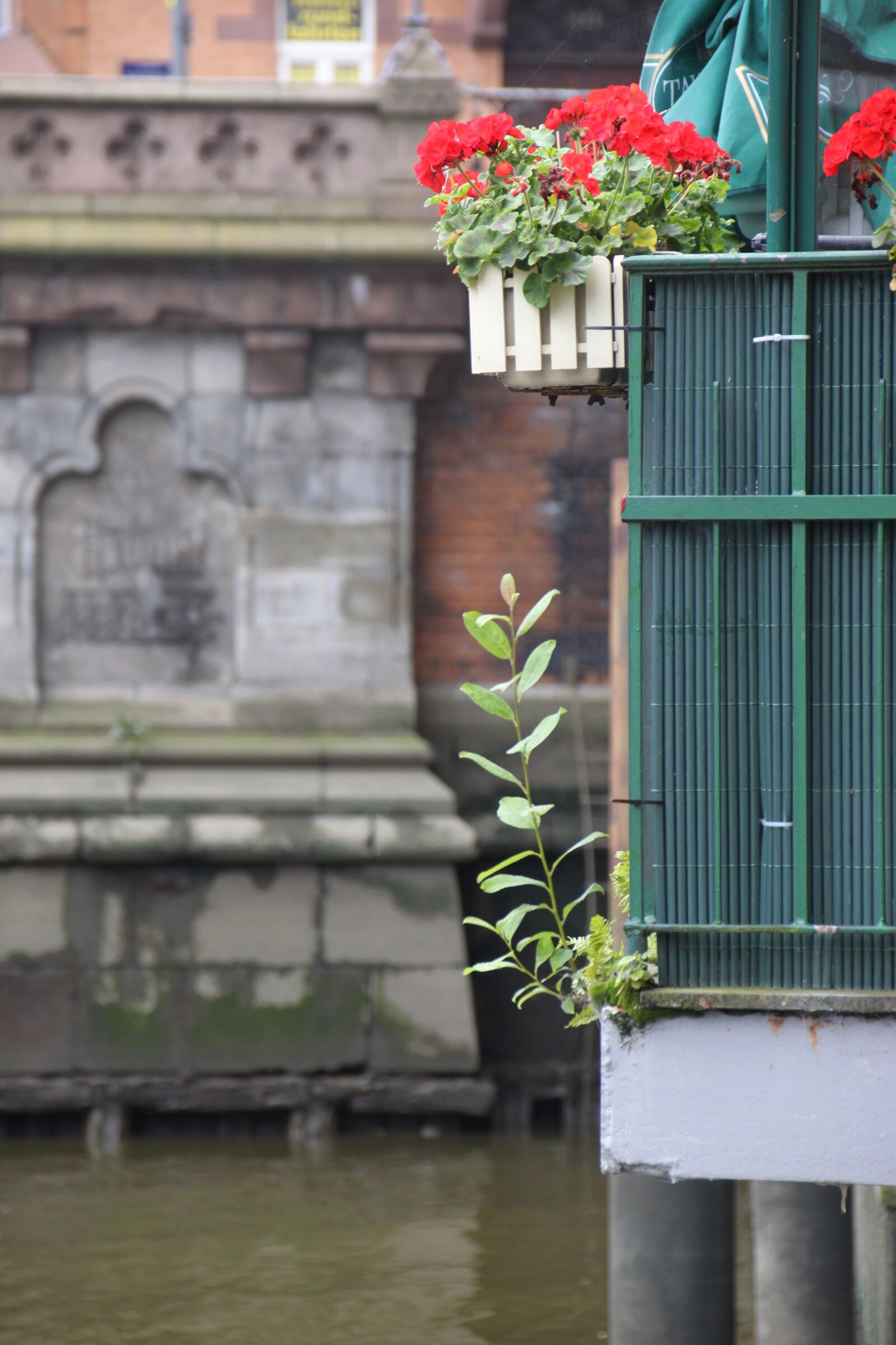 Canon EOS 500D (EOS Rebel T1i / EOS Kiss X3) sample photo. Flowers, hamburg, speicherstadt photography