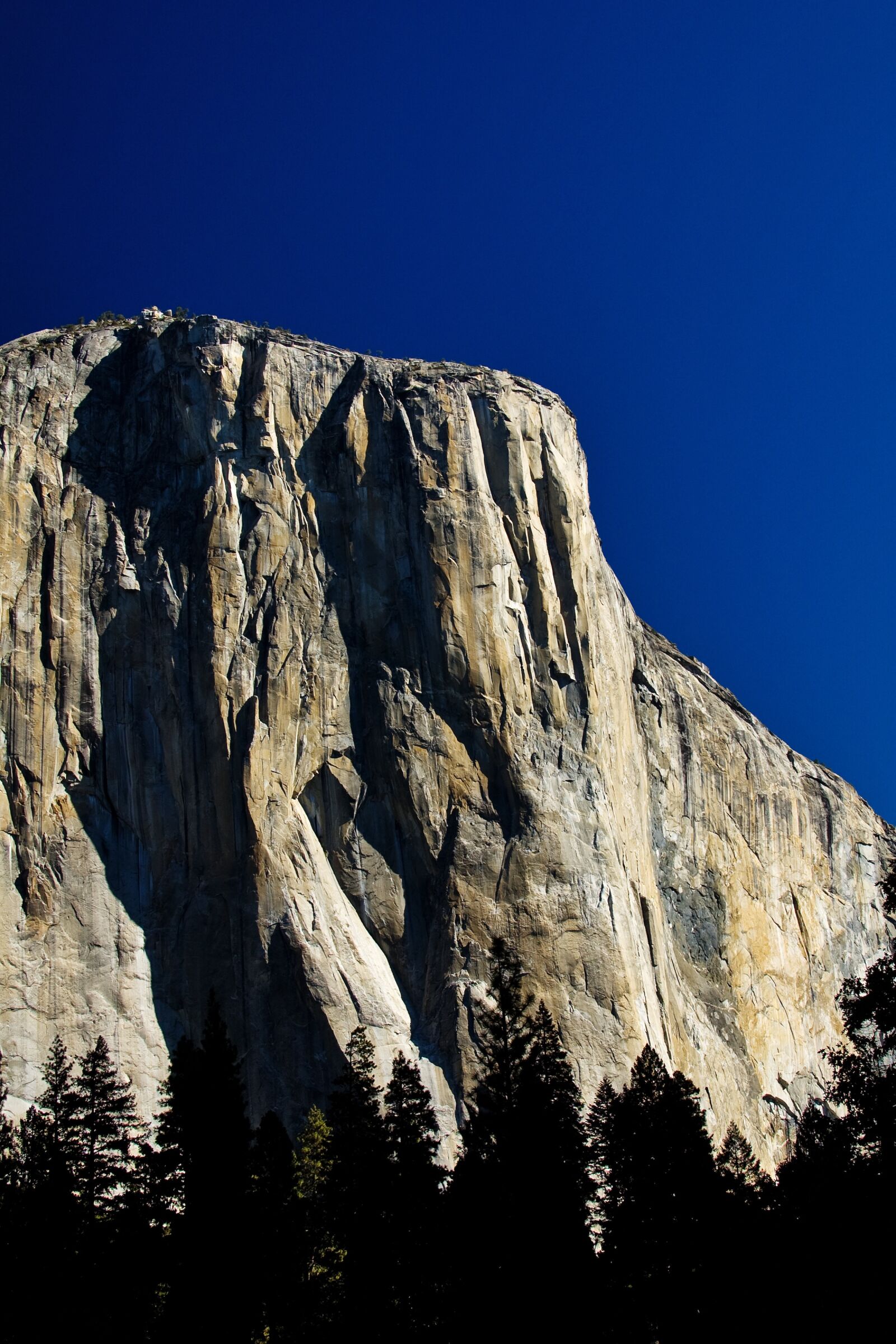 Nikon D50 sample photo. Yosemite, national park, california photography