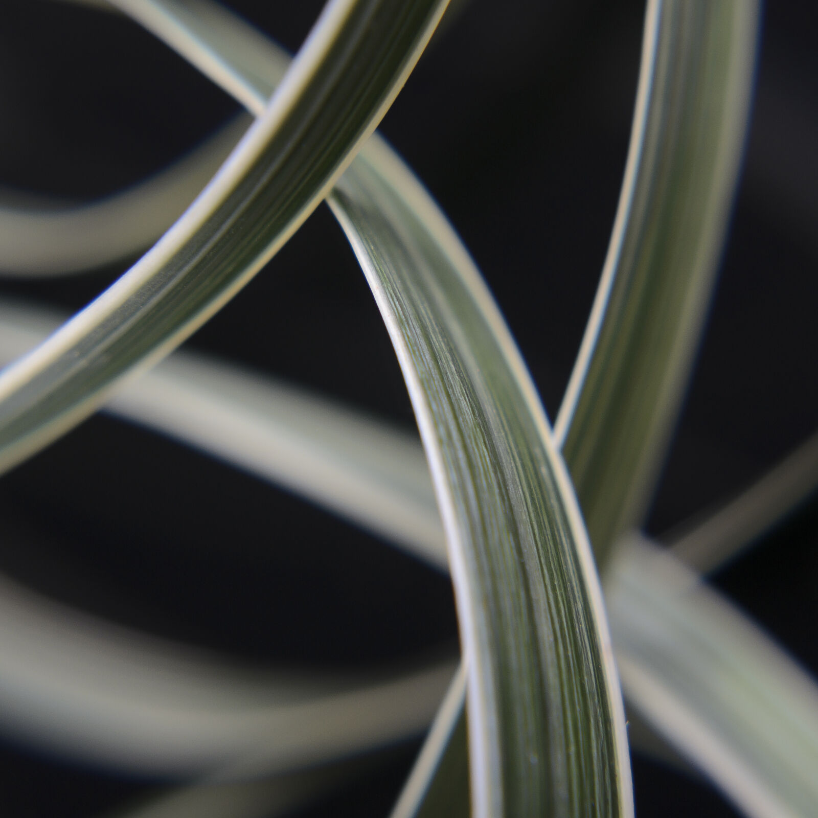 Nikon D7000 + Nikon AF-S Nikkor 50mm F1.8G sample photo. Abstract, abstrato, background, brazilian photography