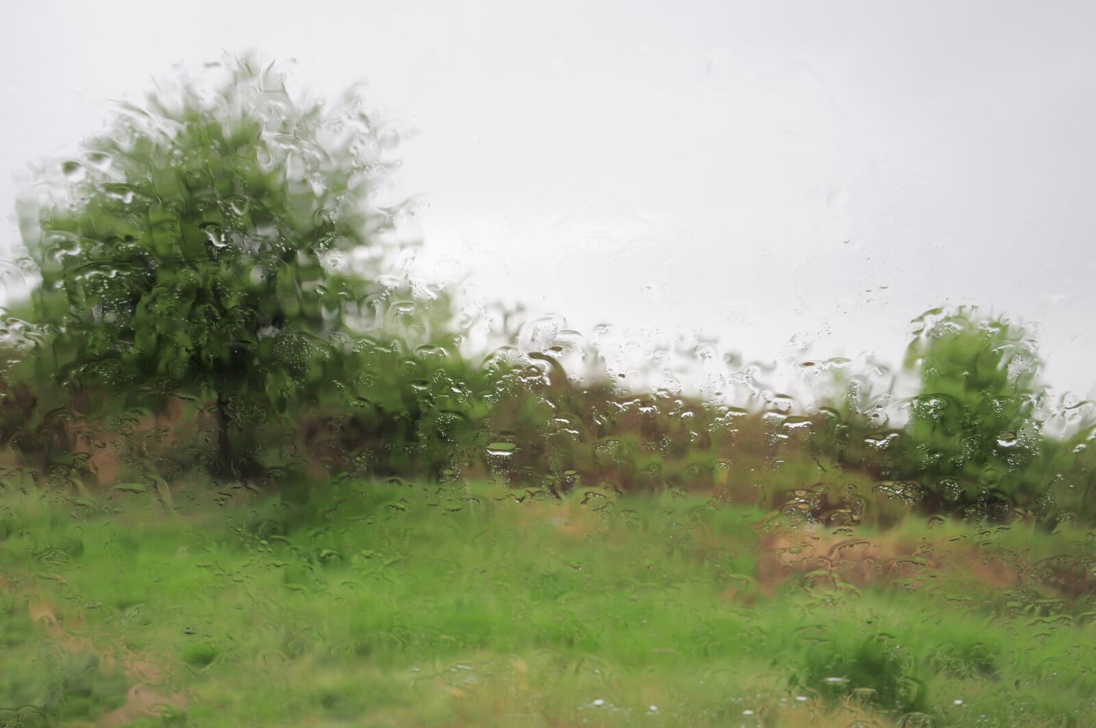 Nikon D90 sample photo. Rain, rain pictures, rain photography