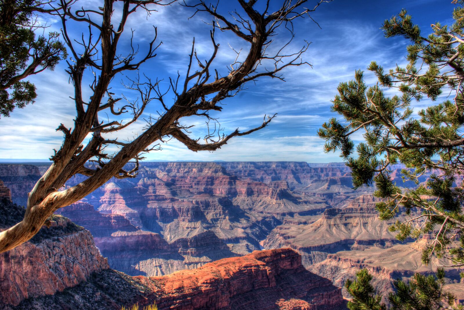 Canon EOS 20D sample photo. Grand canyon, canyon, arizona photography