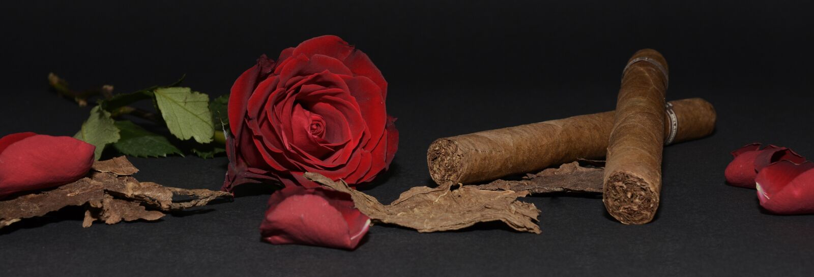 Nikon D7100 sample photo. Rose, red rose, cigar photography