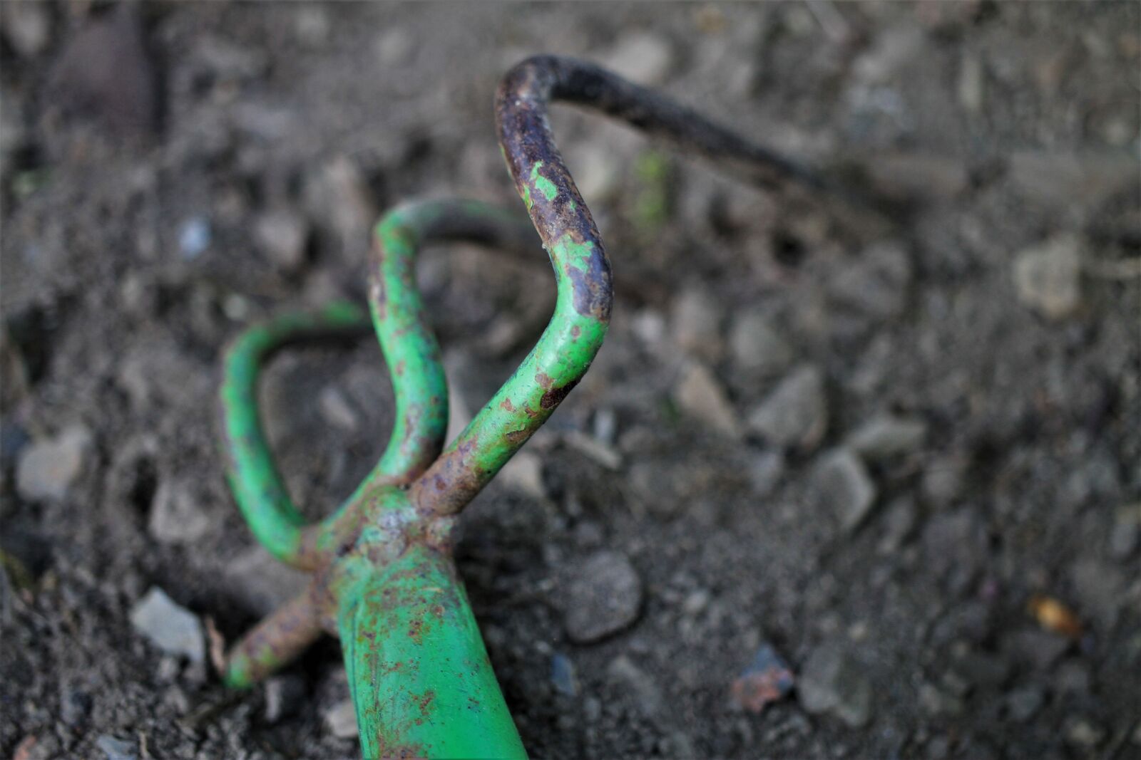 Canon EF-S 35mm F2.8 Macro IS STM sample photo. Rake, tool, garden tool photography