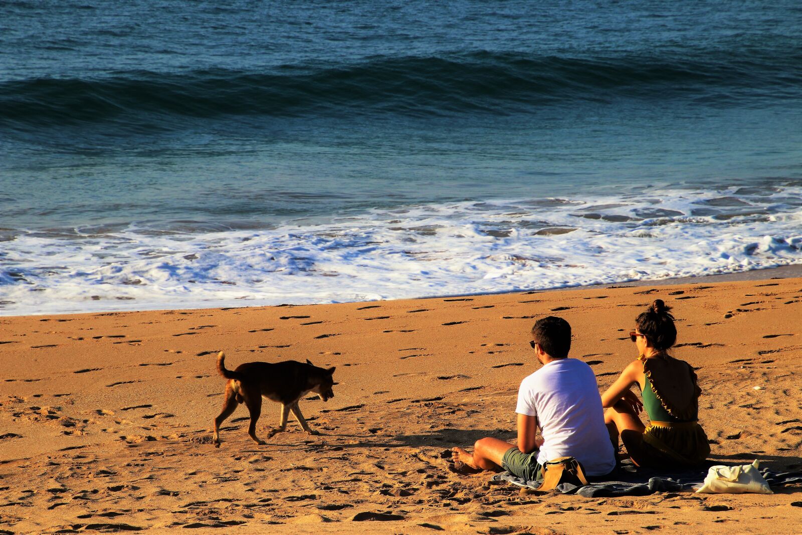 Canon EOS 80D sample photo. Para, wave, indian ocean photography