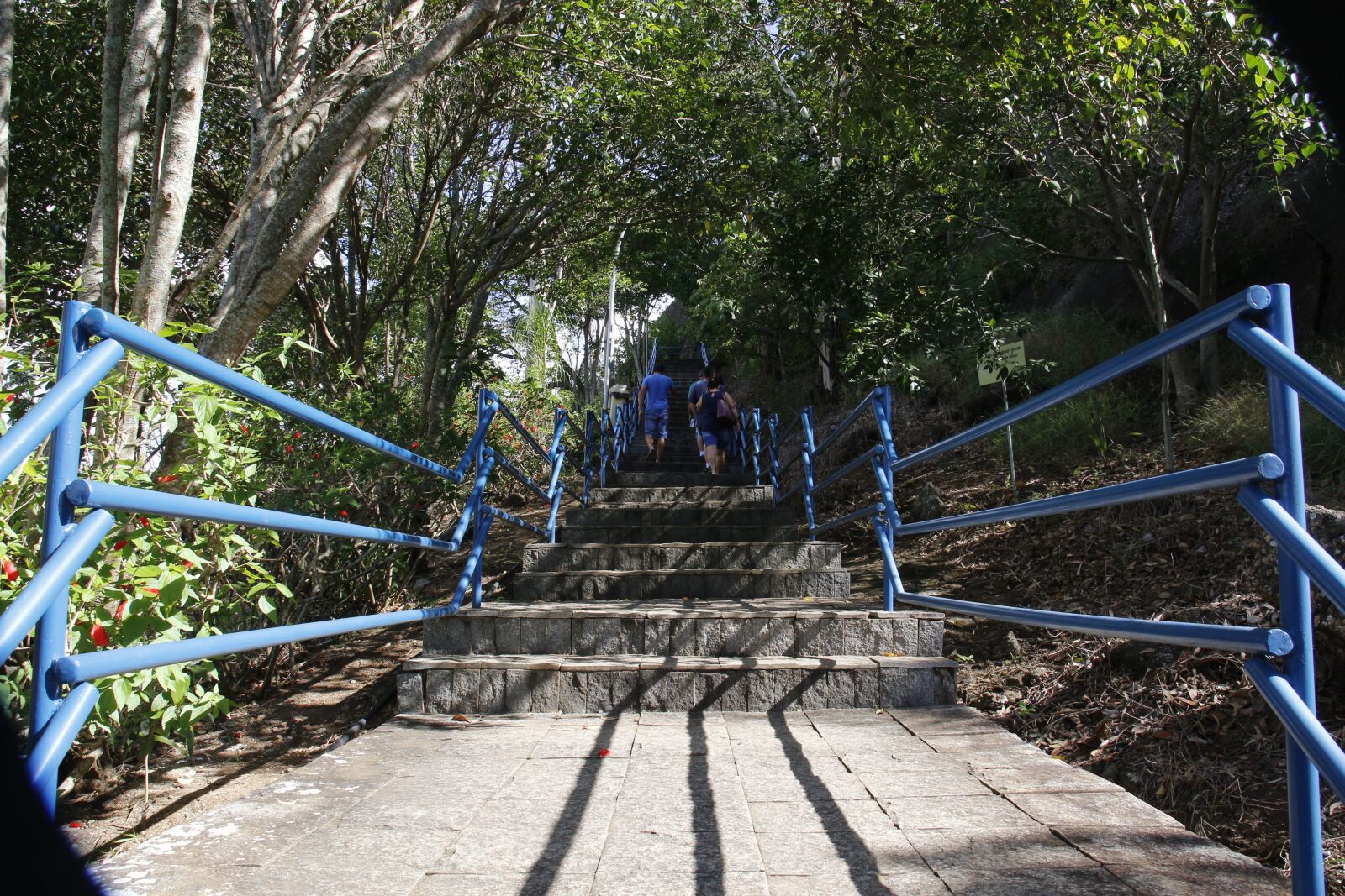 Canon 17-70mm F2.8-4 DC MACRO OS HSM | Contemporary 013 sample photo. Way, staircase, stairway photography