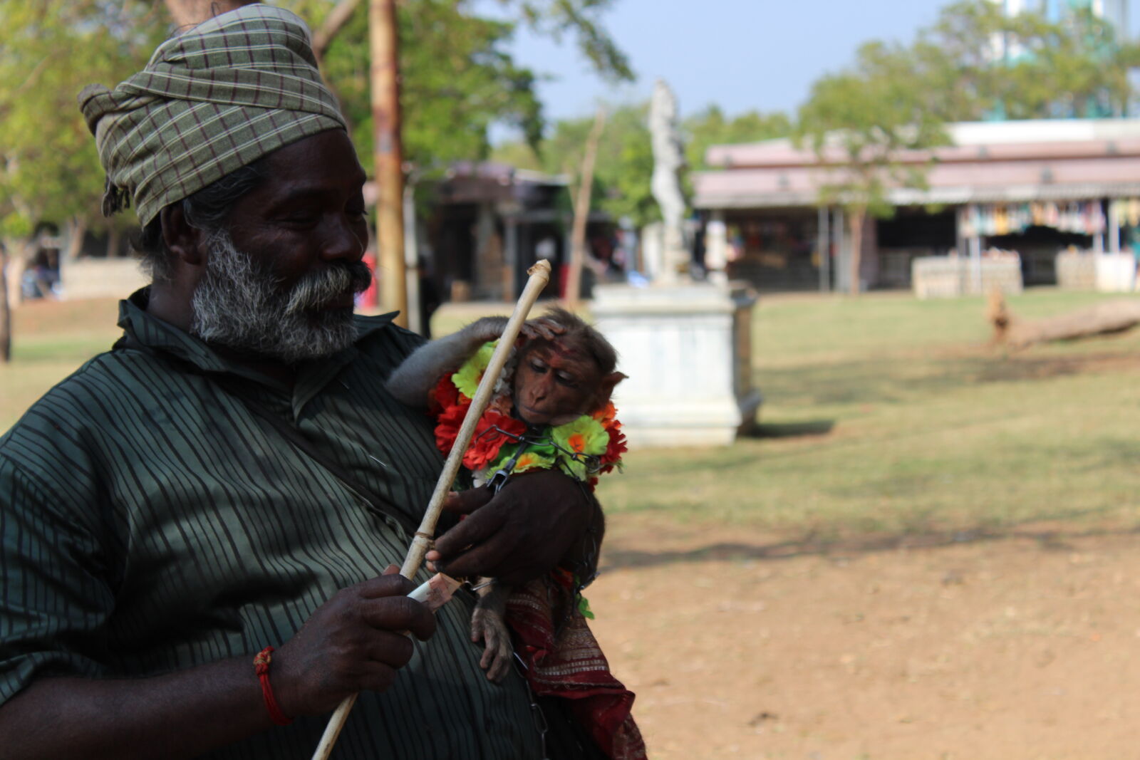 Canon EOS 1300D (EOS Rebel T6 / EOS Kiss X80) sample photo. Salute, to, money, monkey photography