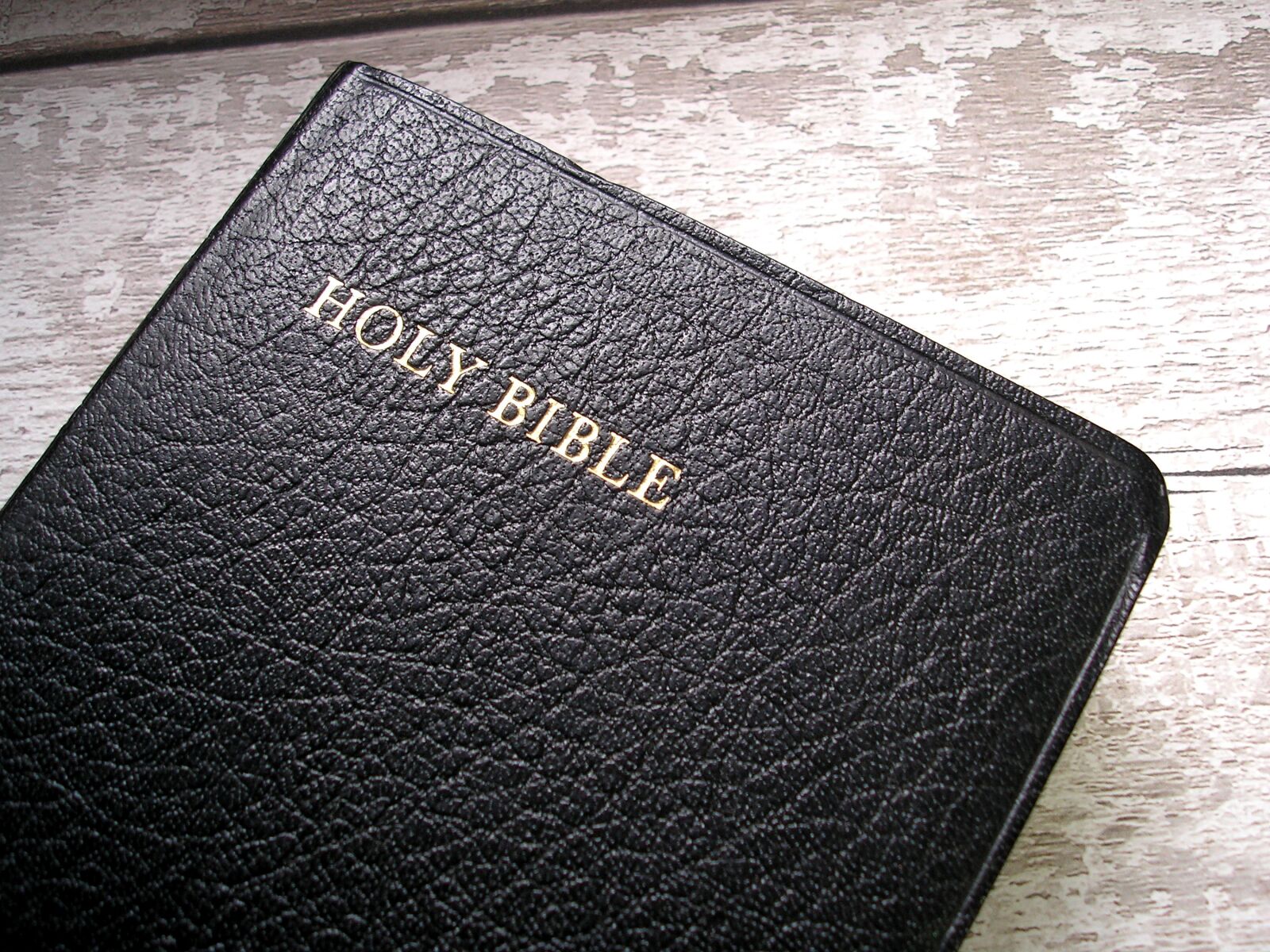 Olympus FE-120,X-700 sample photo. Bible, holy bible, jesus photography