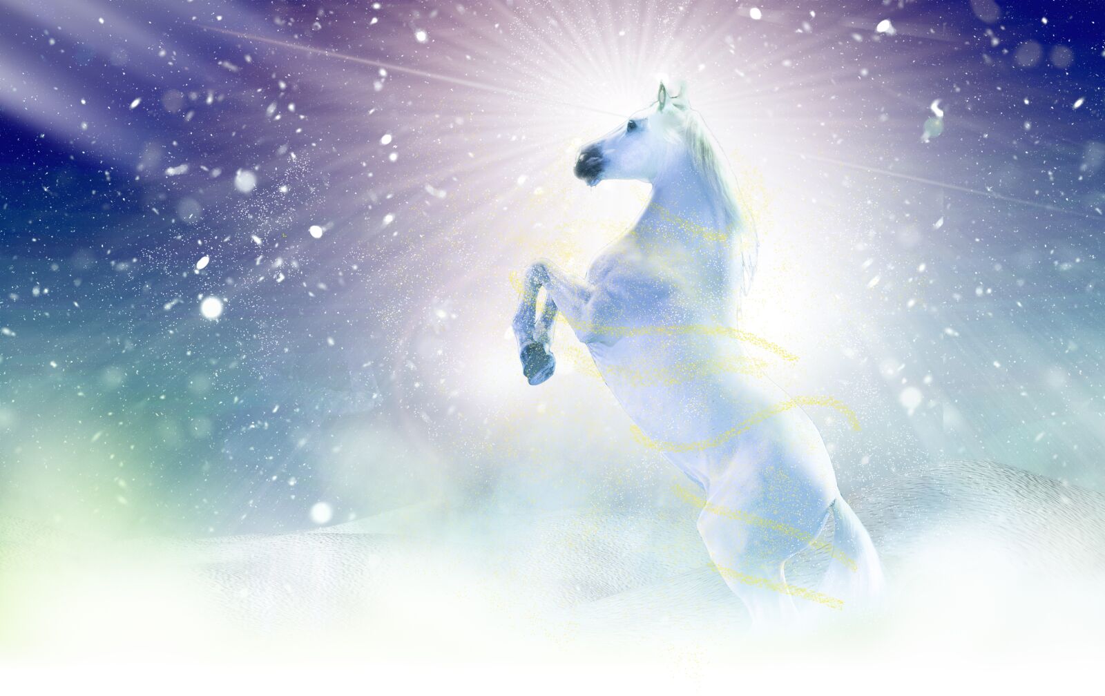 Nikon D5 sample photo. Winter, christmas, space photography