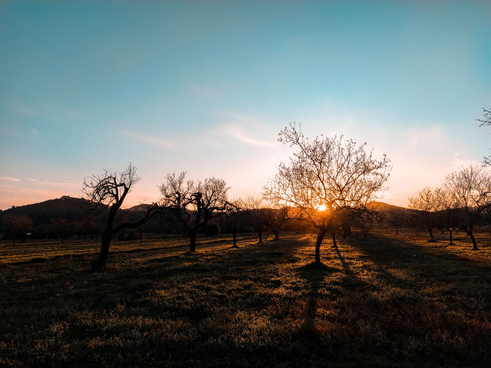 Xiaomi Mi A3 sample photo. Landscape, field, sunset photography