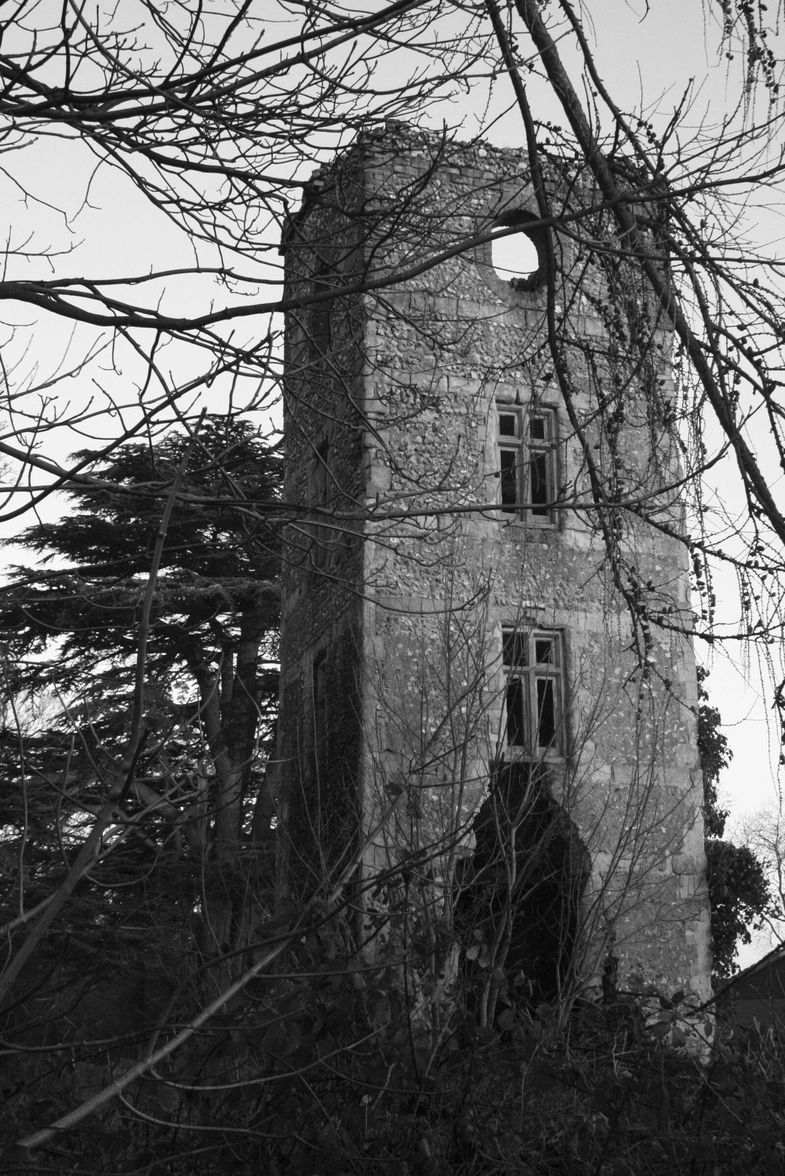 Canon EOS 350D (EOS Digital Rebel XT / EOS Kiss Digital N) sample photo. Winter, tower, ruin photography