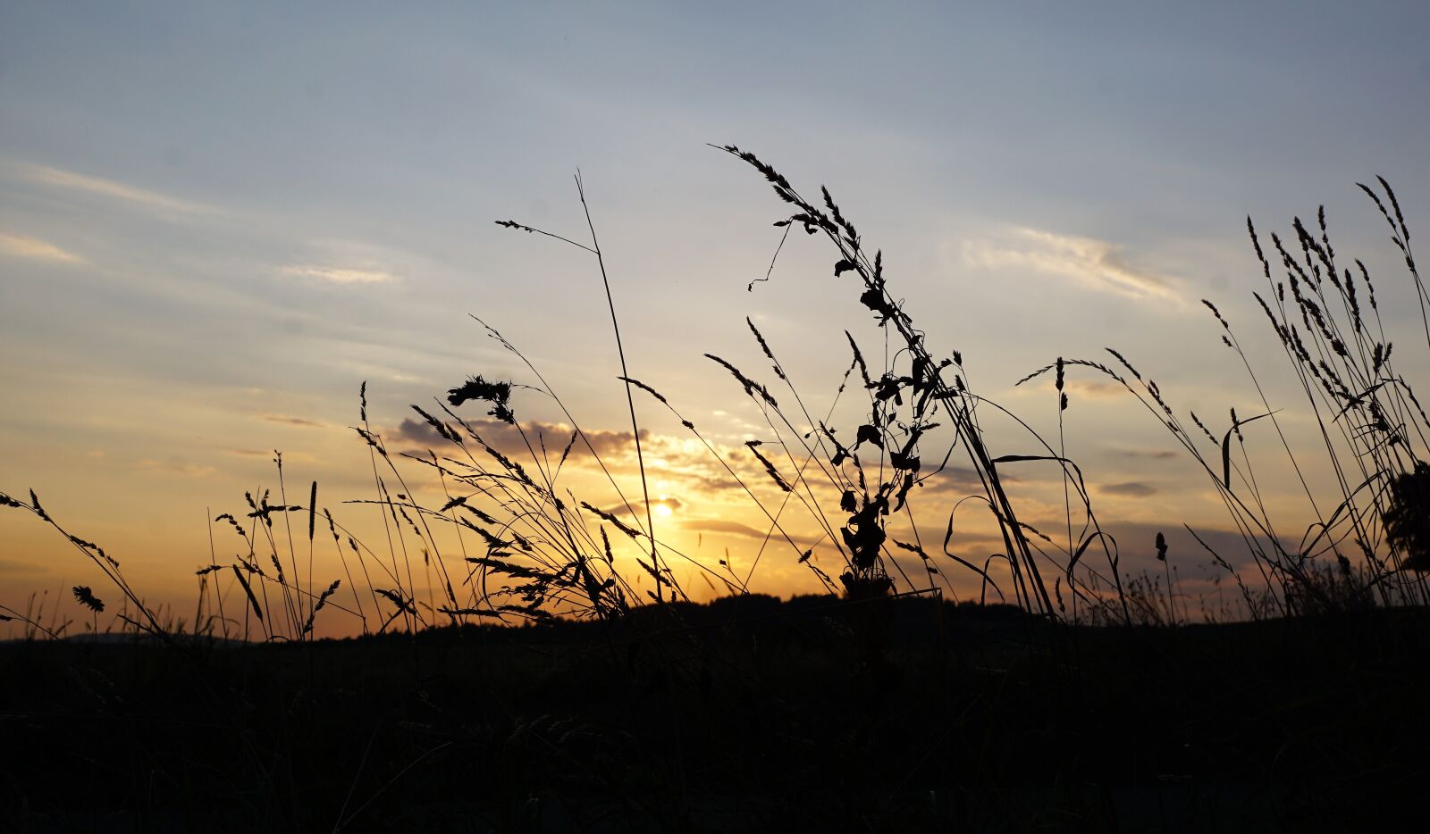 Sony ILCA-77M2 + Sony DT 16-50mm F2.8 SSM sample photo. Grain, field, bread photography