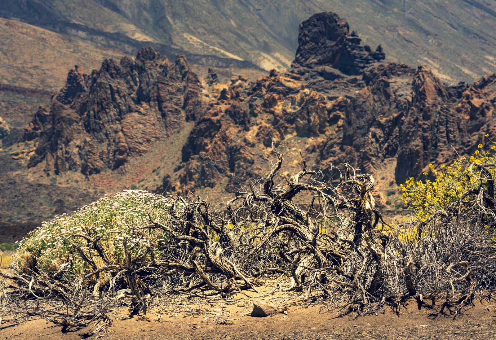 Nikon D5200 sample photo. Rock, tenerife, landscape photography