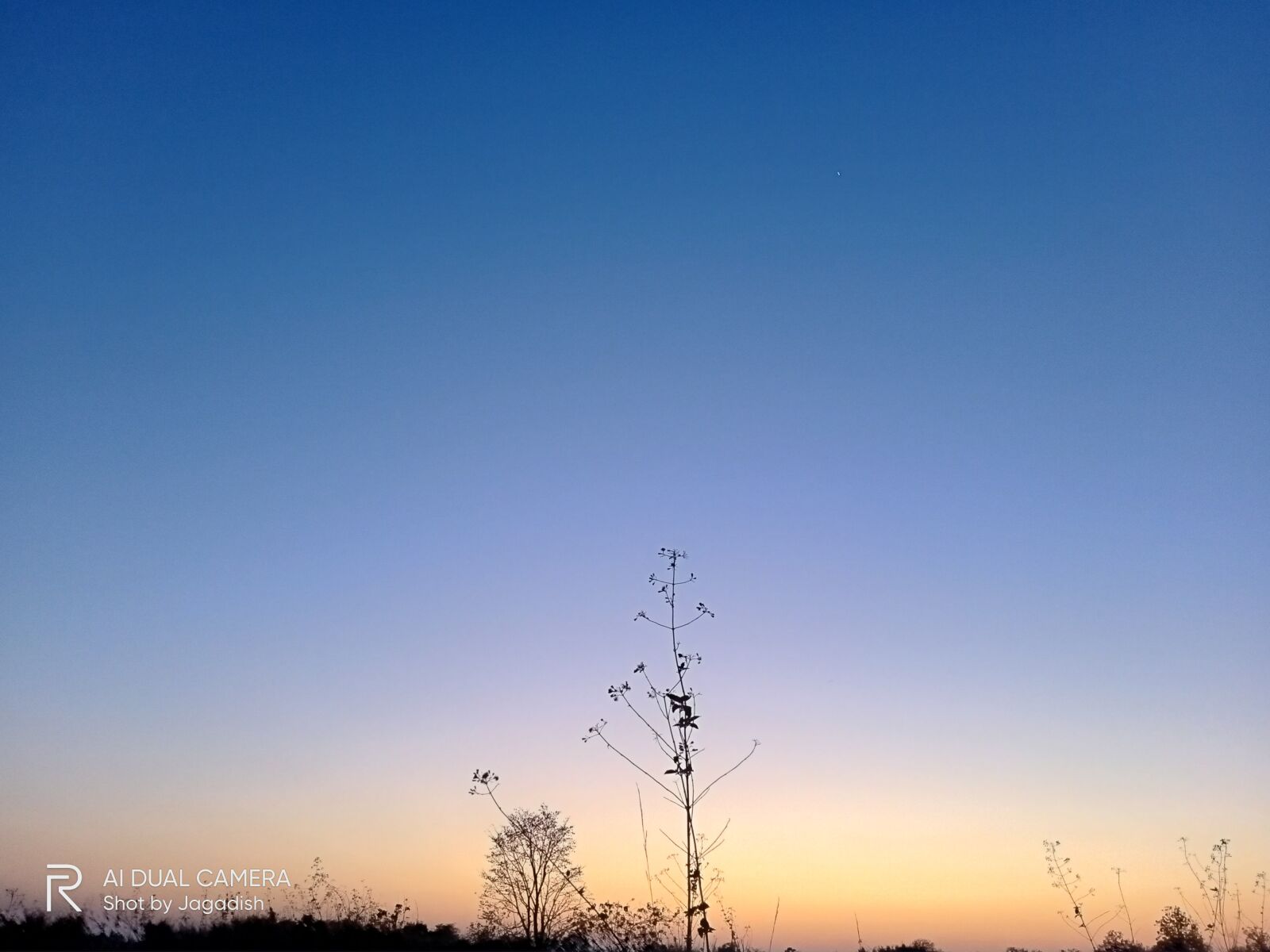 Realme C3 sample photo. Nature, evening, time photography