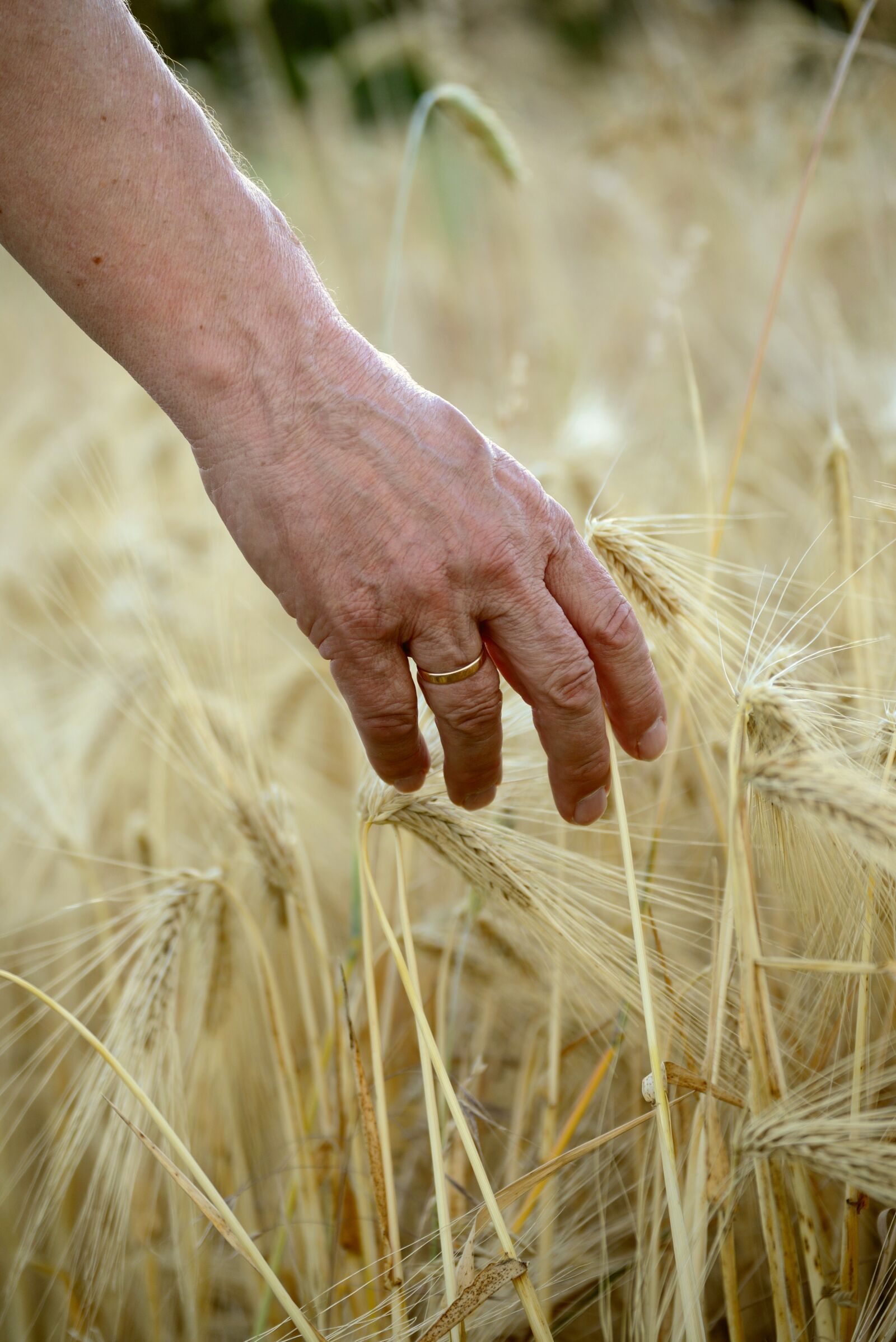 Nikon D610 sample photo. Hand, human, man photography