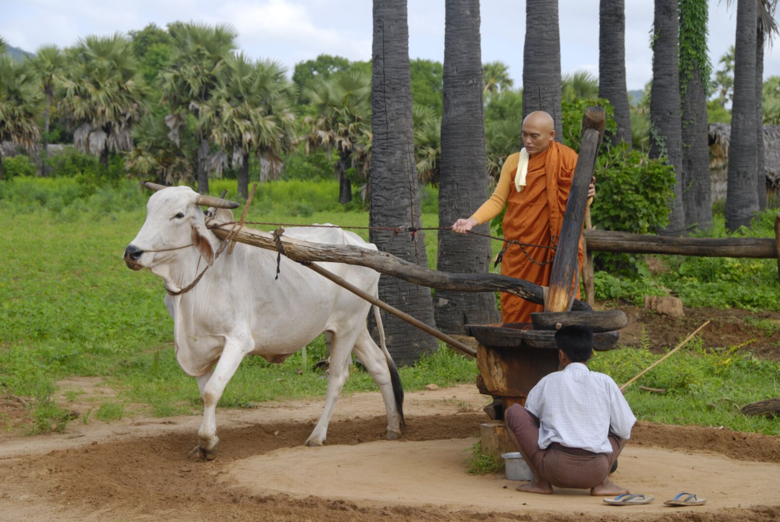 Nikon D80 sample photo. Myanmar, burma, asia photography