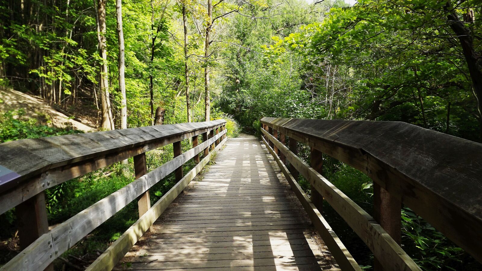 Fujifilm FinePix S3400 sample photo. Way, forest, bridge photography