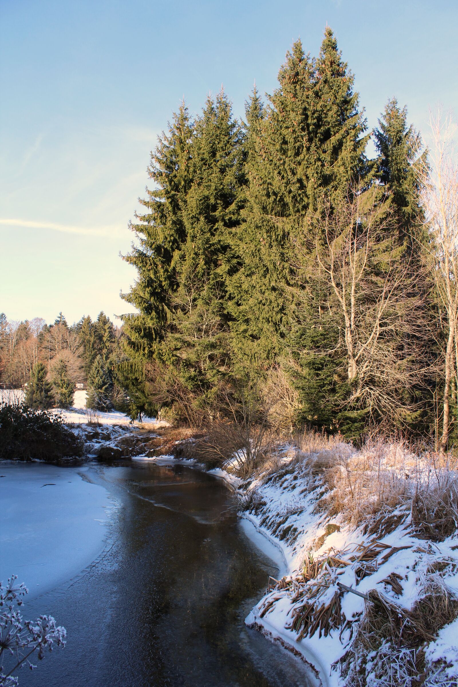 Canon EOS 1200D (EOS Rebel T5 / EOS Kiss X70 / EOS Hi) sample photo. Winter, niederbayern, bavaria photography