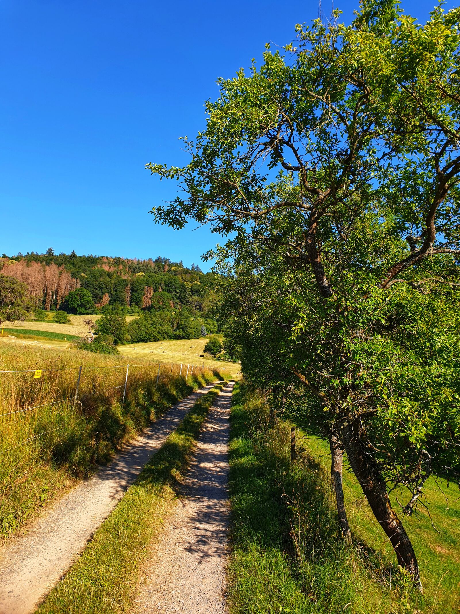 Samsung Galaxy S9 sample photo. Odenwald, lane, summer photography