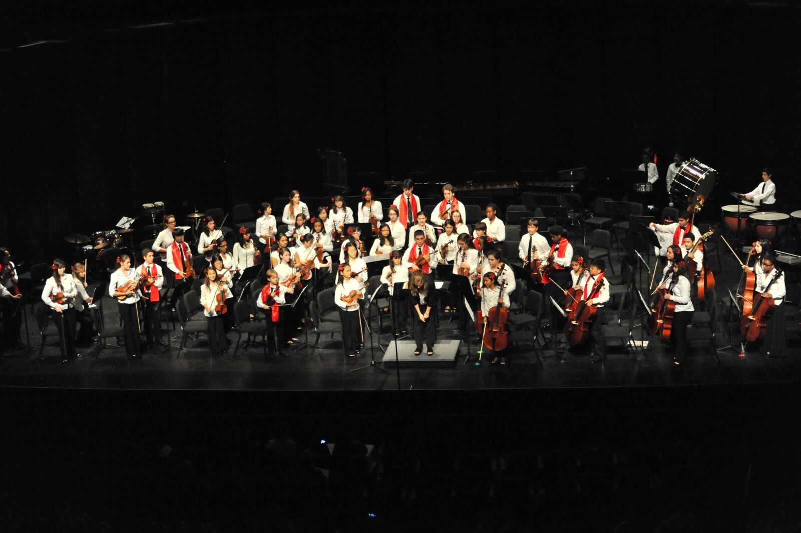 Nikon D700 sample photo. Concert, orchestra, music photography