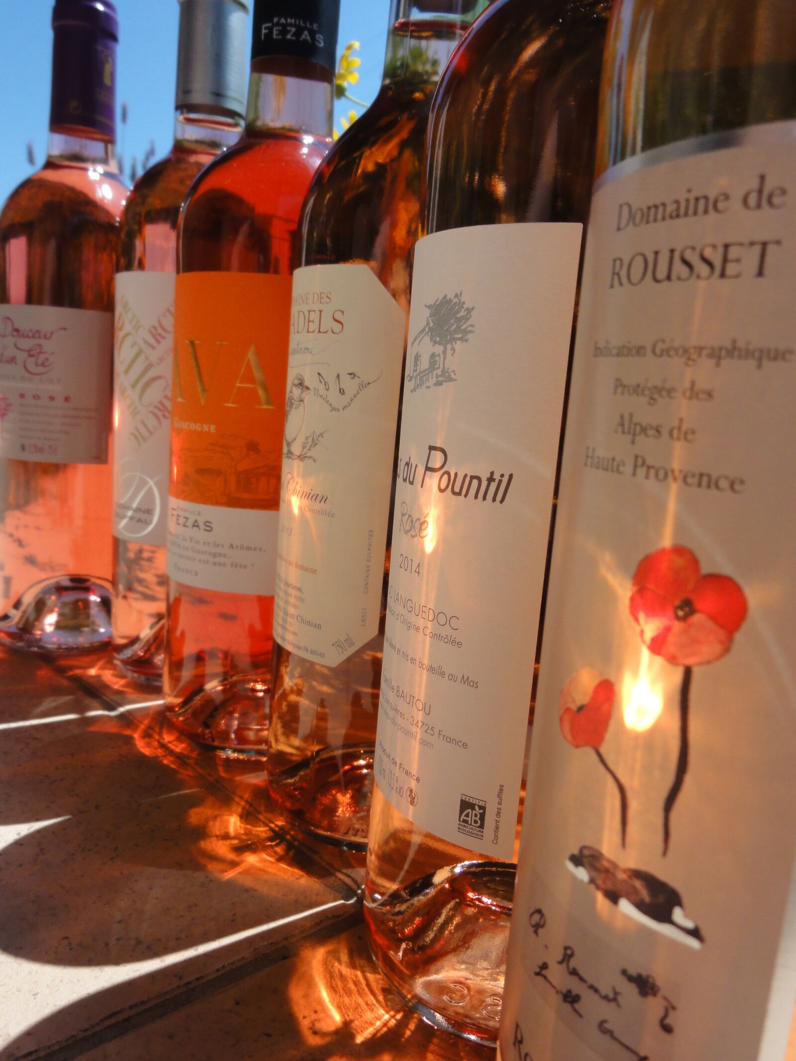 Sony DSC-HX5V sample photo. Bottles, wine, pink photography