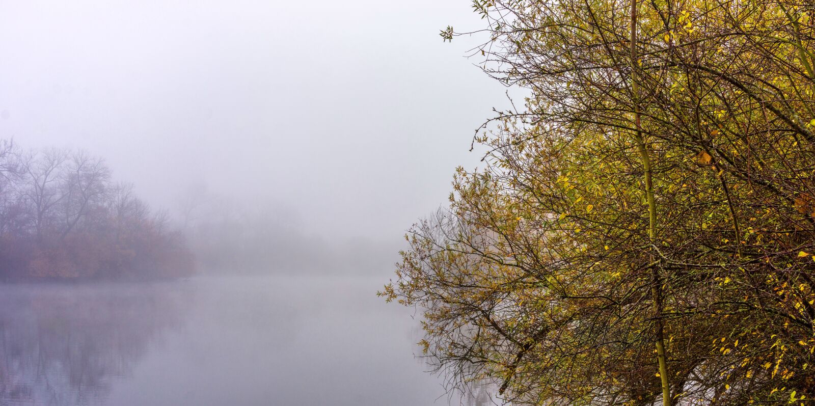 Sony Alpha NEX-7 sample photo. Lake, autumn, fog photography