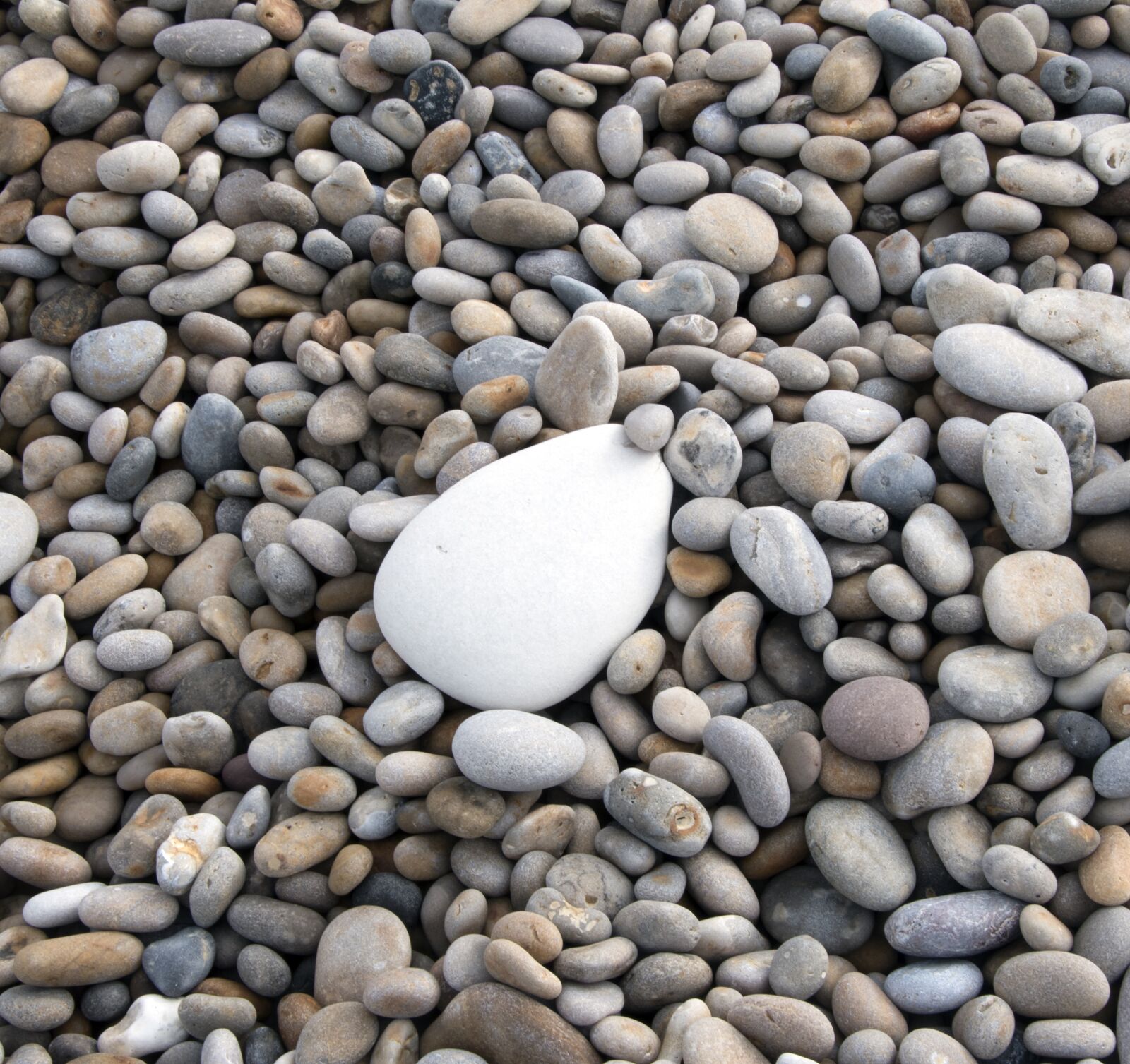 Nikon D5500 sample photo. Pebbles, beach, sea photography