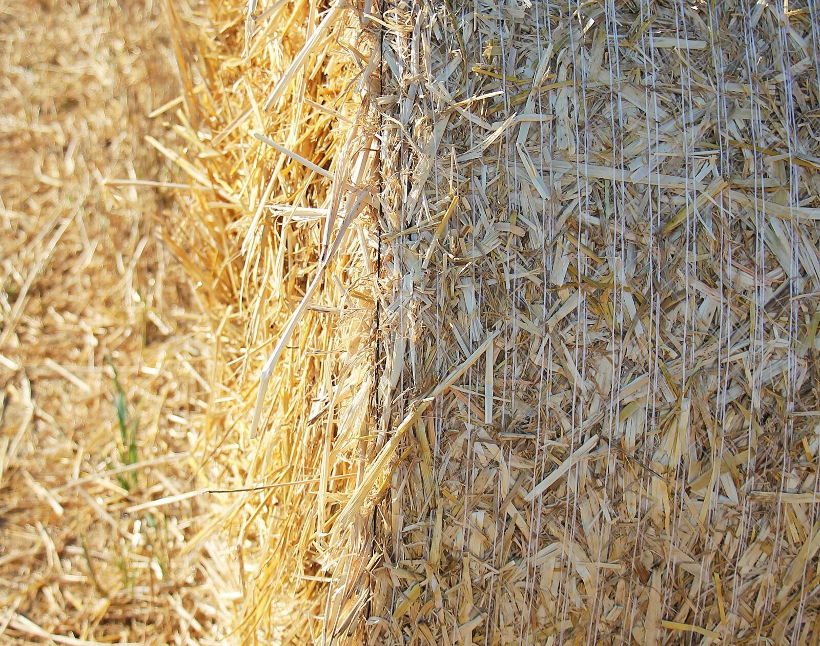 Canon EOS 550D (EOS Rebel T2i / EOS Kiss X4) sample photo. Straw role, harvest, straw photography
