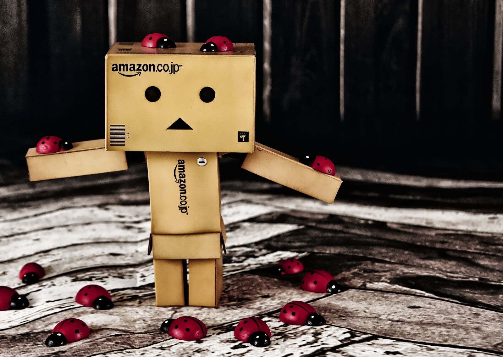 Nikon D7200 sample photo. Danbo, figure, danboard photography