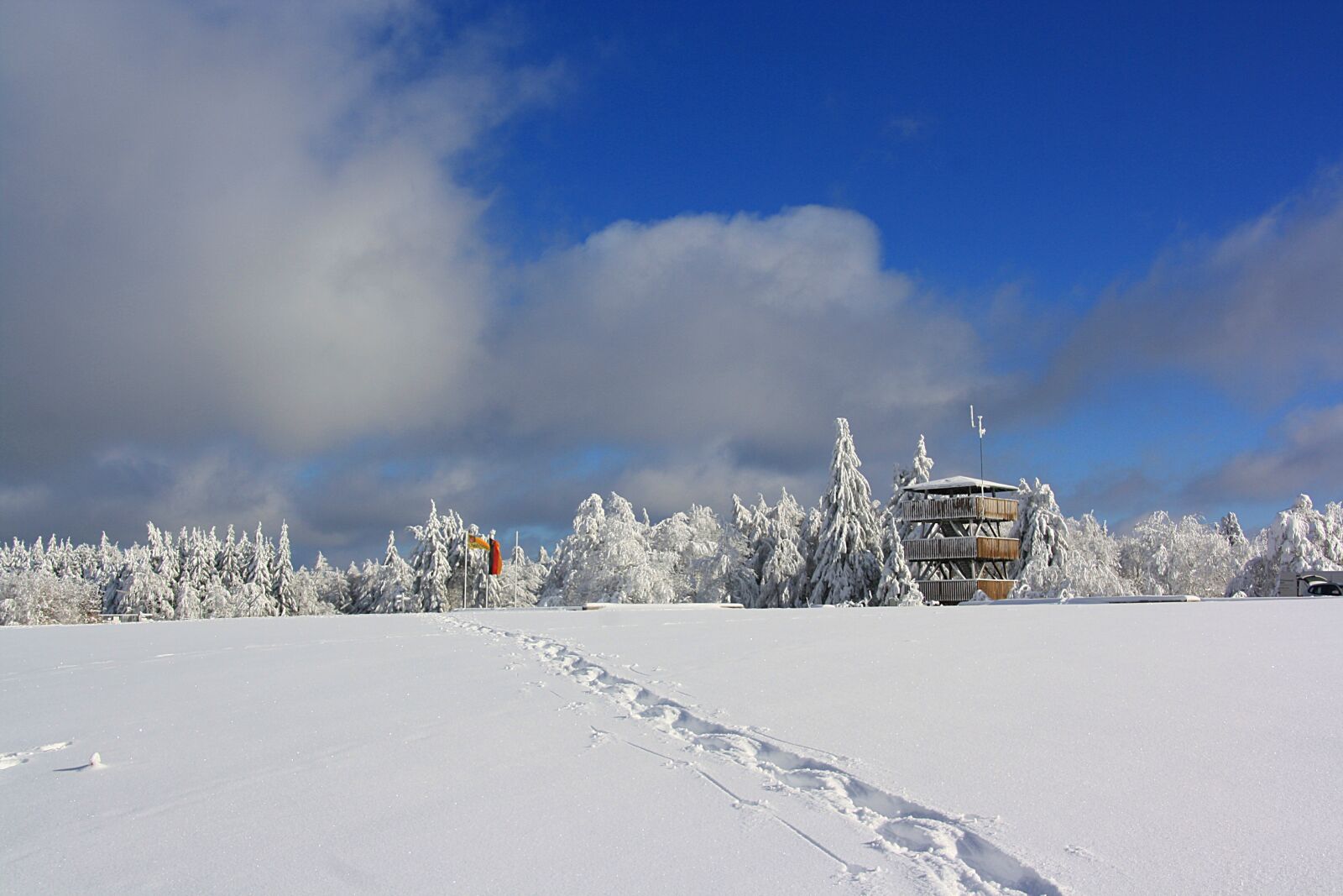 Canon EOS 1000D (EOS Digital Rebel XS / EOS Kiss F) sample photo. Snow, winter, cold photography
