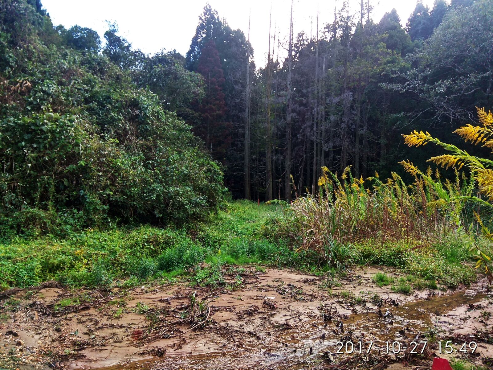 Xiaomi Redmi Note 4 sample photo