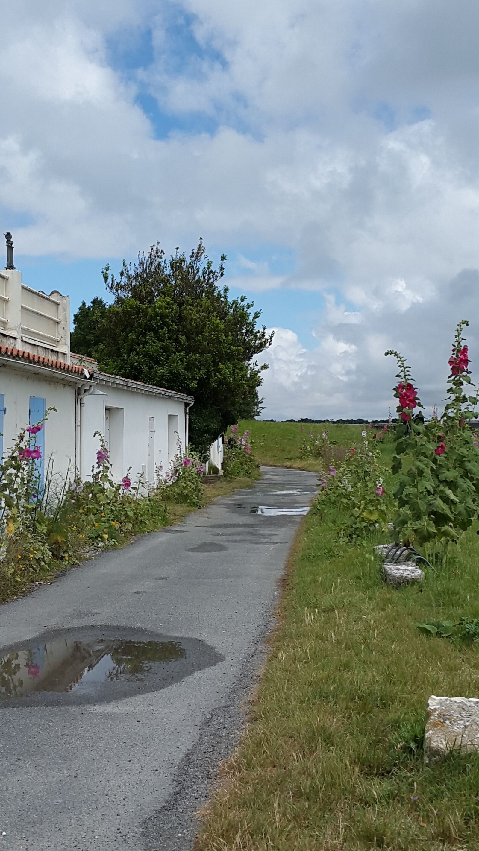 Samsung Galaxy Alpha sample photo. Street, atlantic, ile photography