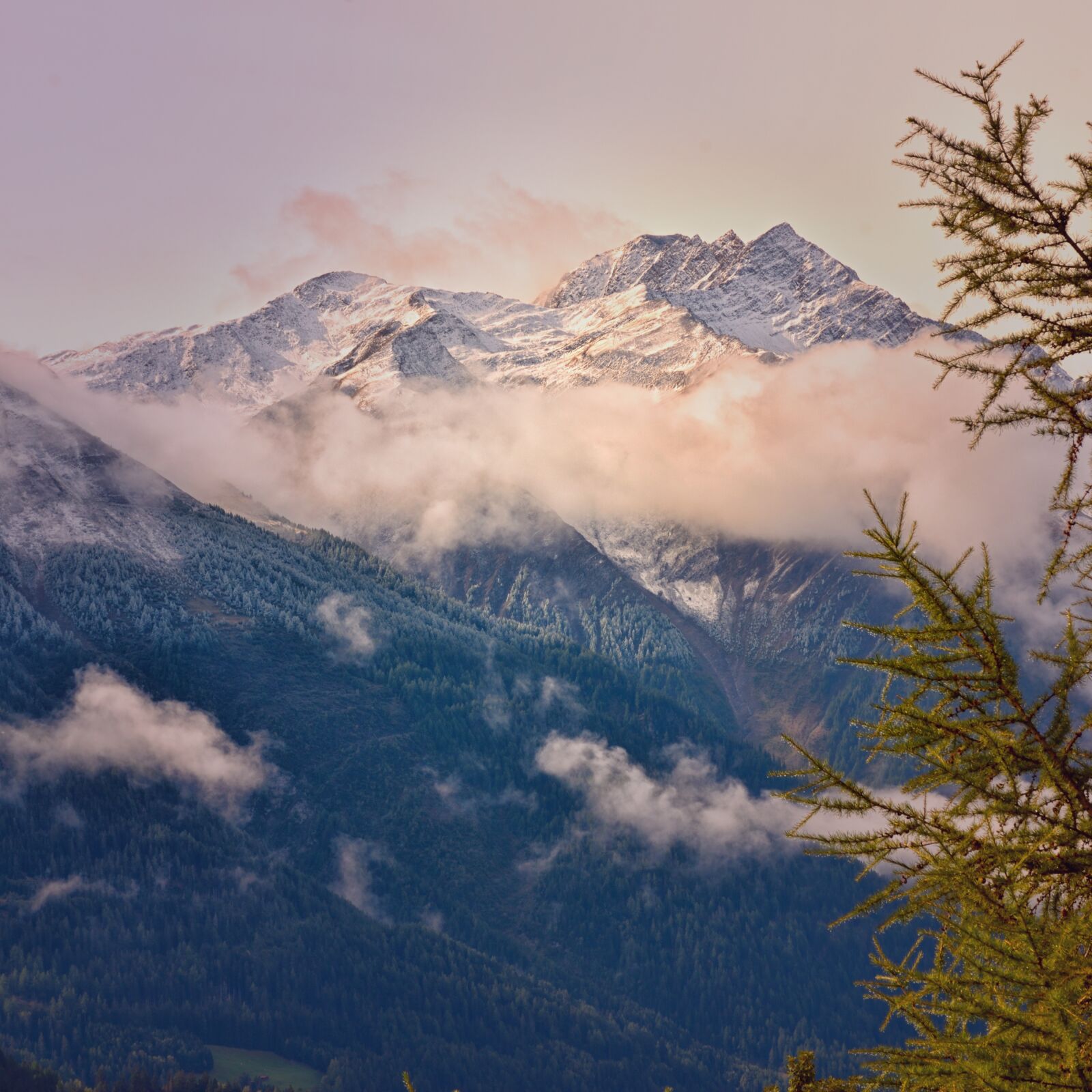 Nikon D5500 sample photo. Mountains, fir tree, alpine photography