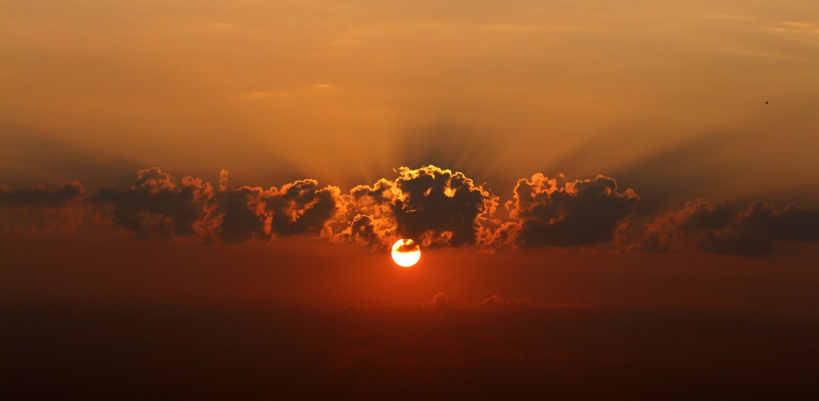 Canon EOS 700D (EOS Rebel T5i / EOS Kiss X7i) + Canon EF 85mm F1.8 USM sample photo. Sunrise, cloud, twilight photography