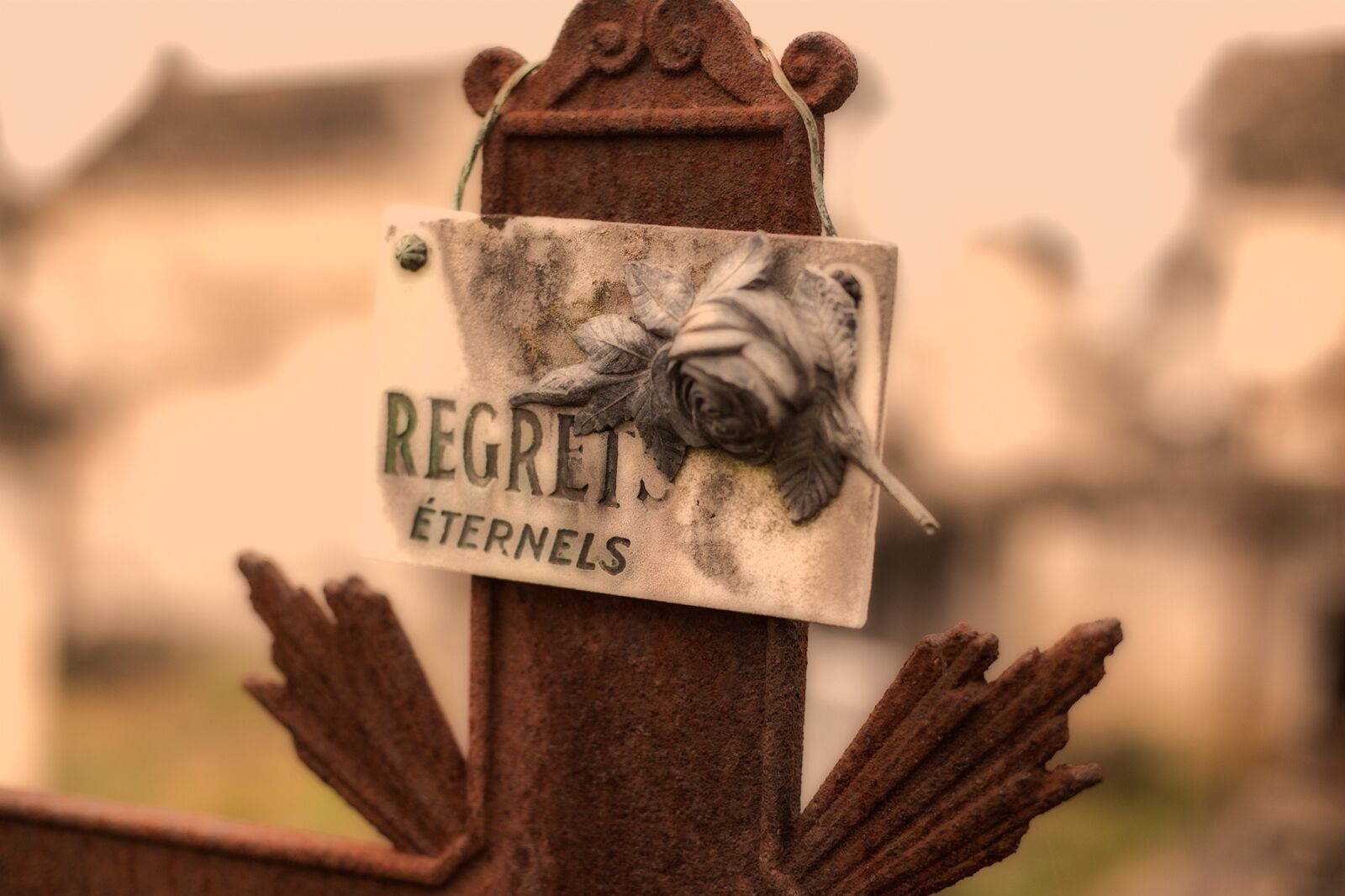 Canon EOS 6D + Canon EF 50mm F1.4 USM sample photo. Toussaint, falls, cemetery photography