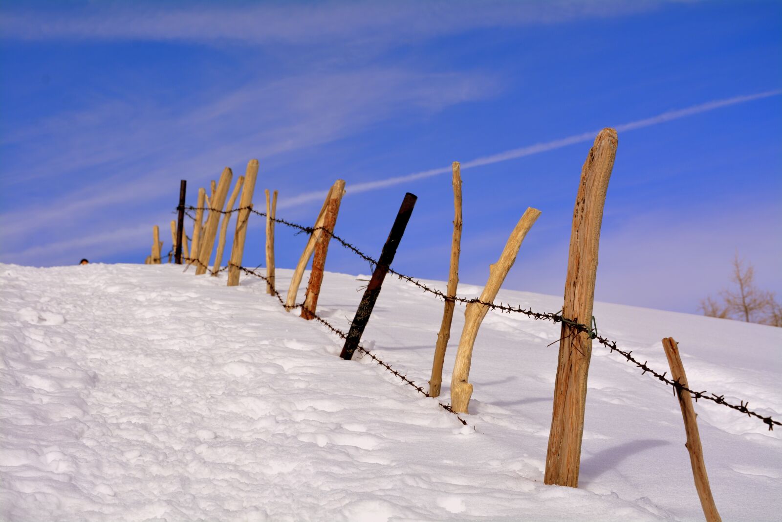 Nikon D7100 sample photo. Snow, winter, wood photography
