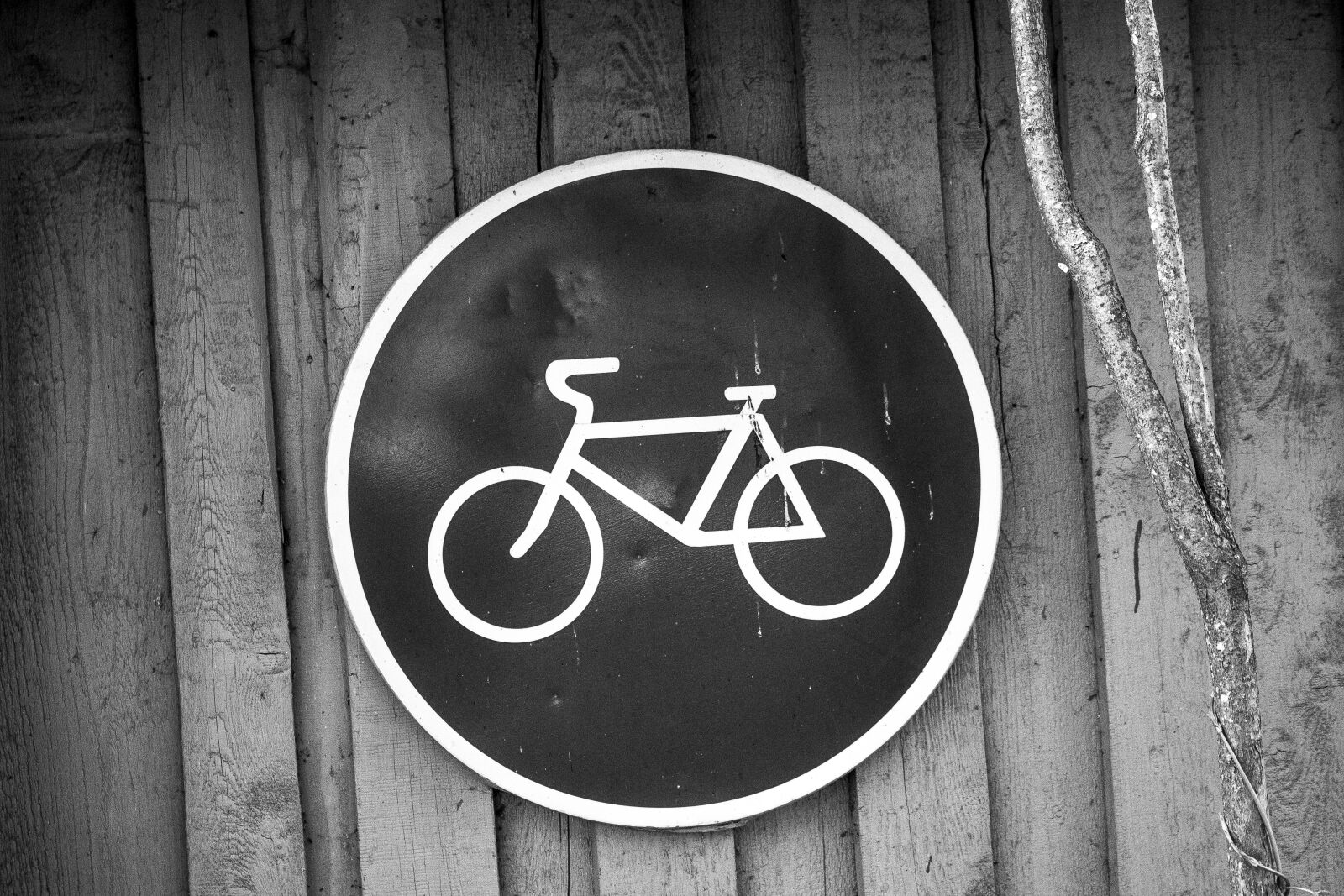Canon EOS 700D (EOS Rebel T5i / EOS Kiss X7i) sample photo. Black, and, white, bicycle photography