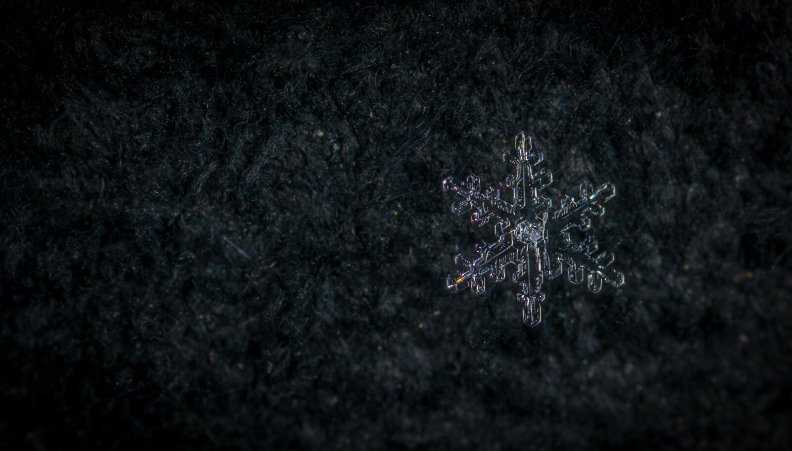 #124 65/2.8 sample photo. Snow, macro, snowflake photography