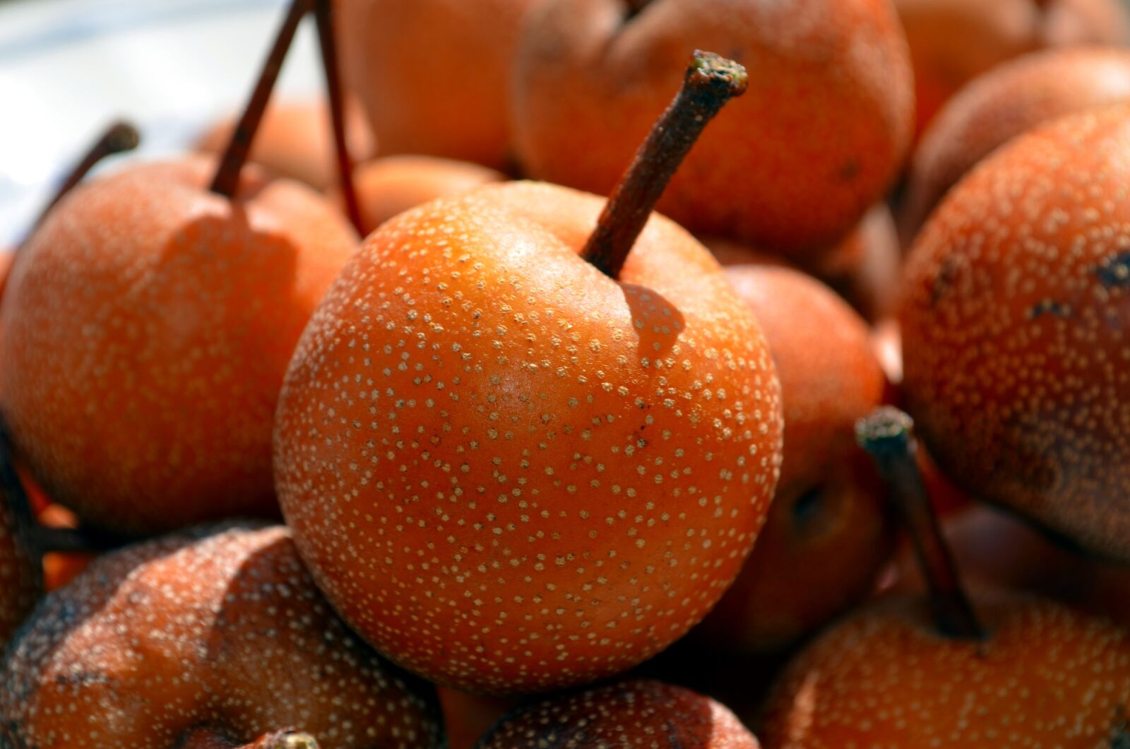 Nikon D5100 sample photo. Pears nashi, nashi, pears-apples photography