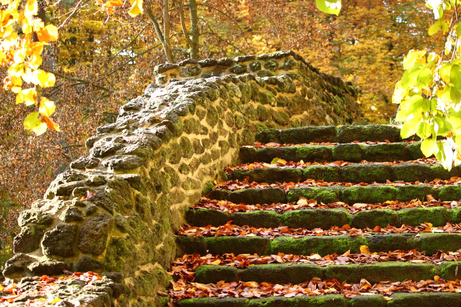 Canon EOS 100D (EOS Rebel SL1 / EOS Kiss X7) sample photo. Autumn, stairs, fall foliage photography