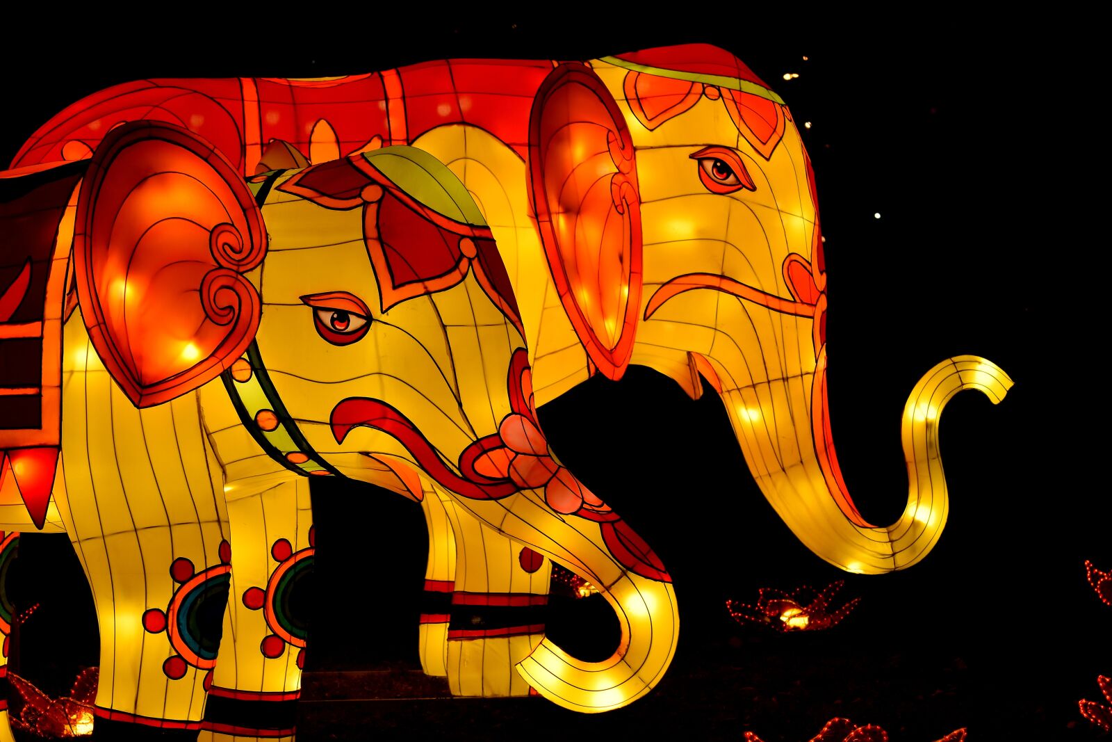 Nikon D5500 sample photo. Artwork, colorful, elephant, futuristic photography
