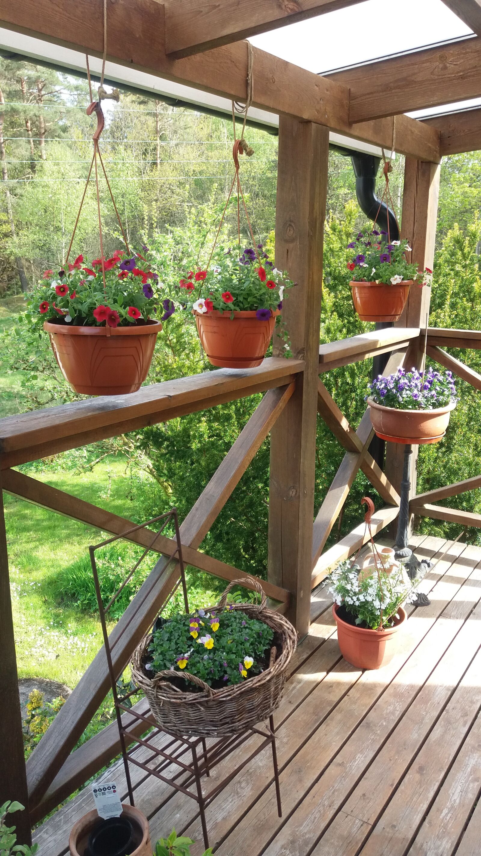 Samsung Galaxy J5 sample photo. Altan, hanging baskets, greenery photography