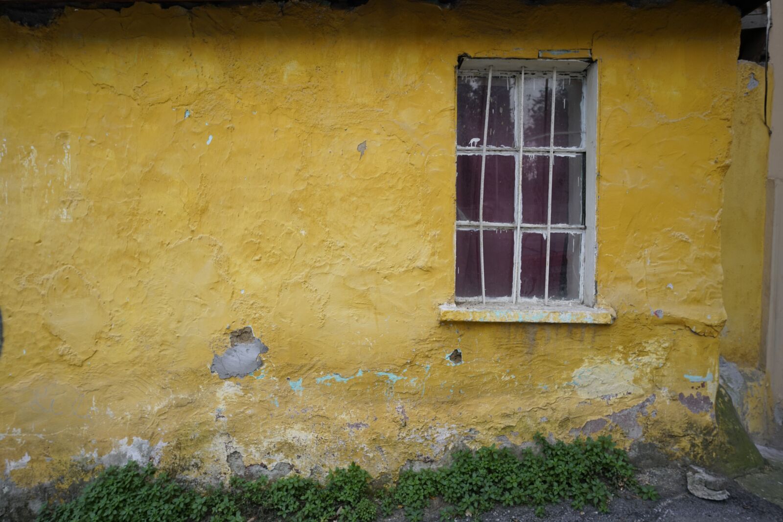 Sony a7R II + E 21mm F2.8 sample photo. Wall, yellow wall, window photography