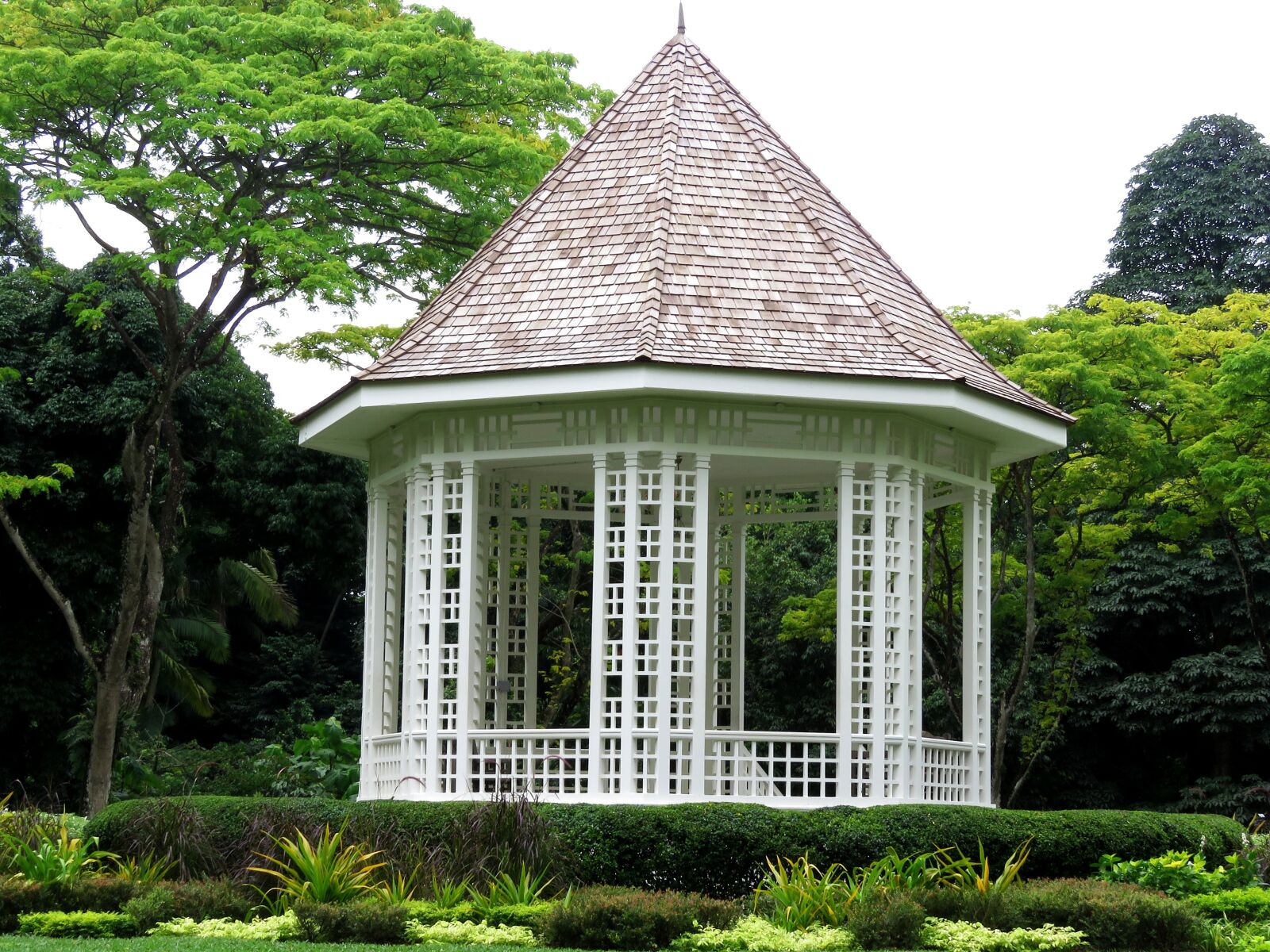 Canon PowerShot SX60 HS sample photo. Singapore, botanic, garden photography