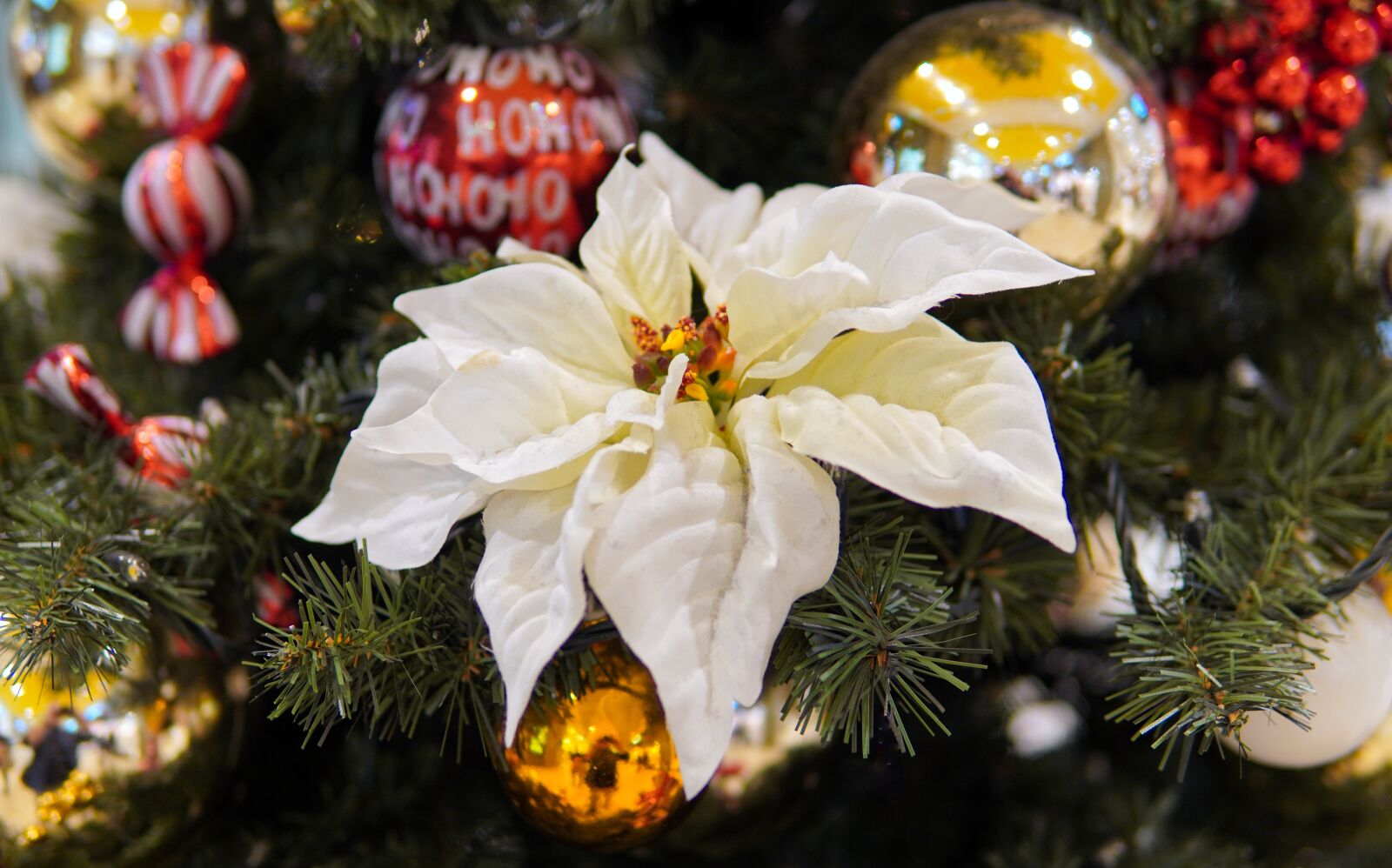 30mm F1.4 DC DN | Contemporary 016 sample photo. Christmas, christmas decorations, christmas photography