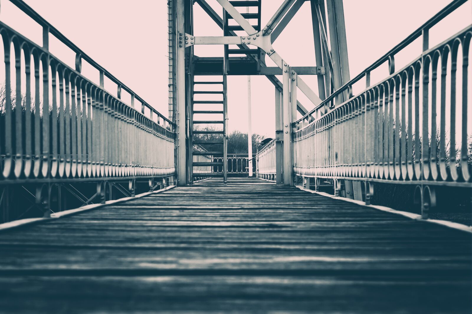 Nikon Z6 sample photo. Bridge, web, boardwalk photography