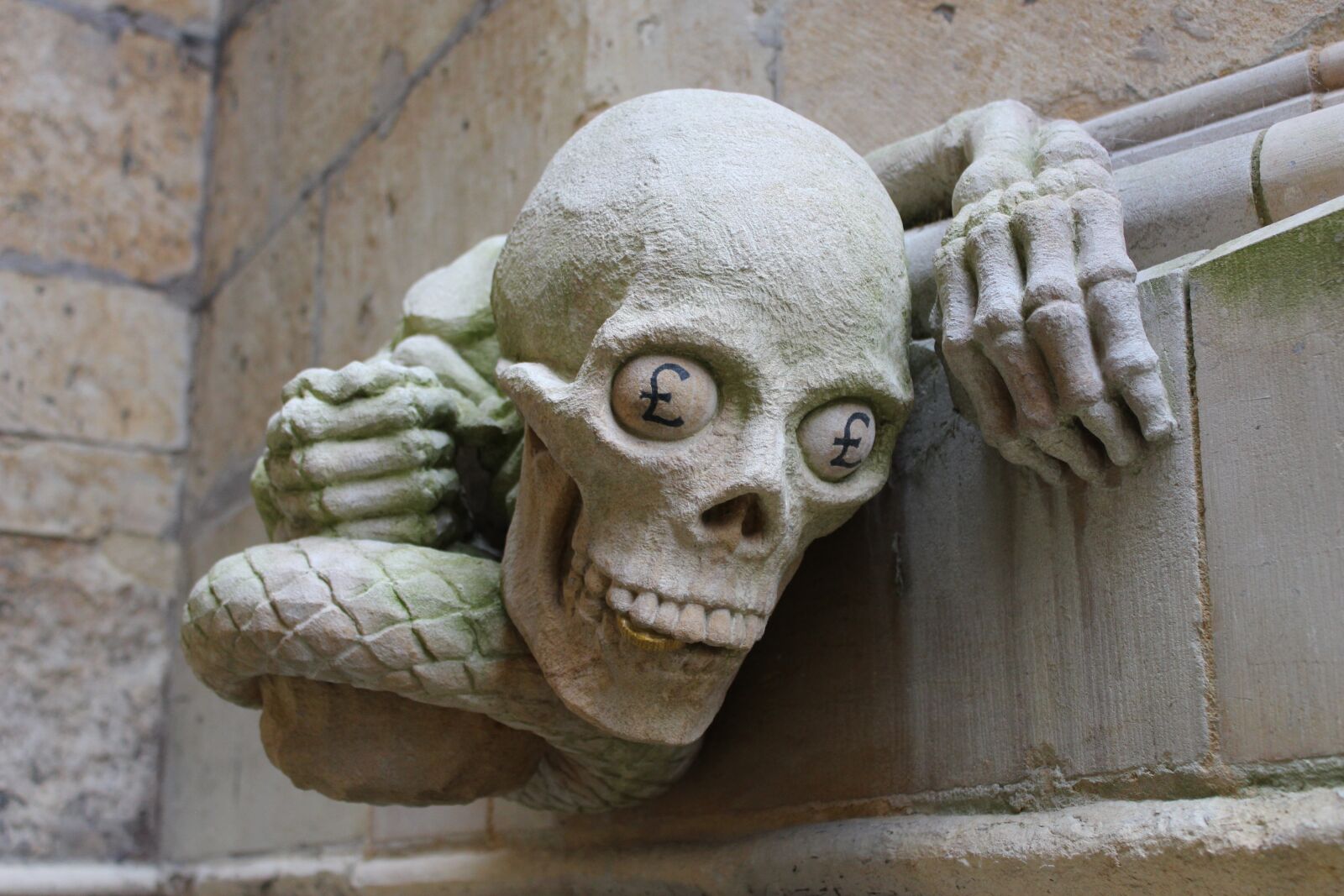 Canon EOS 100D (EOS Rebel SL1 / EOS Kiss X7) sample photo. Skull, sculpture, money photography