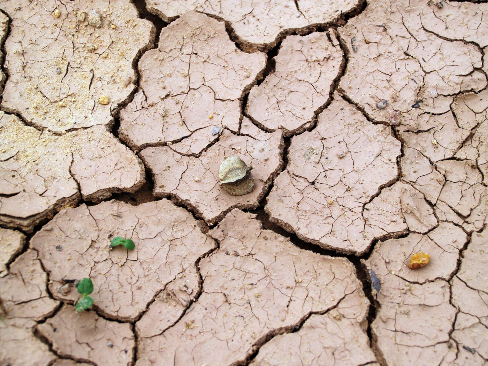 Olympus E-300 (EVOLT E-300) sample photo. Soil, rough, earth photography